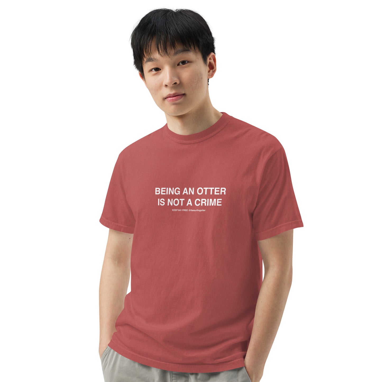 Being an Otter is Not a Crime(Otter 841) garment-dyed heavyweight t-shirt