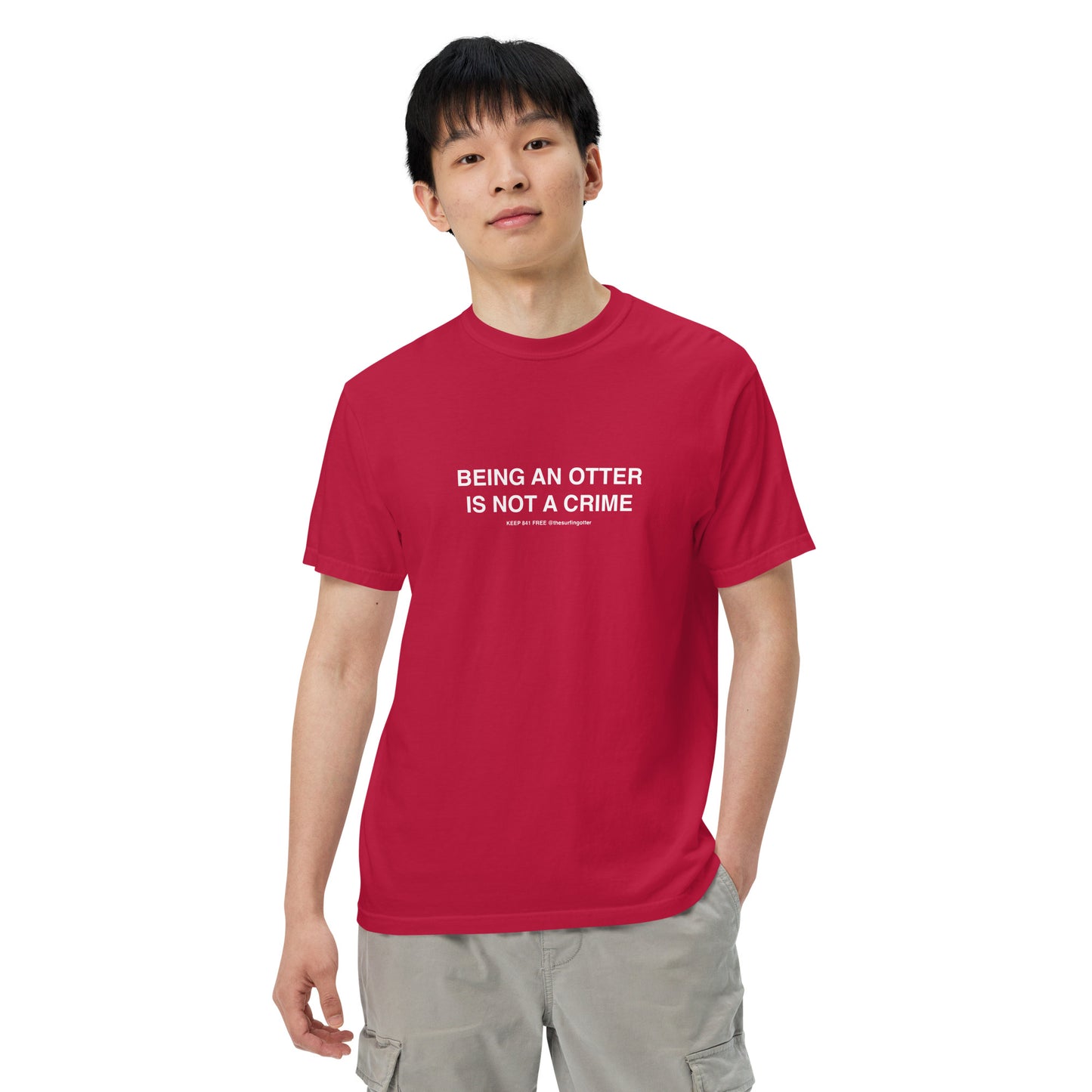 Being an Otter is Not a Crime(Otter 841) garment-dyed heavyweight t-shirt