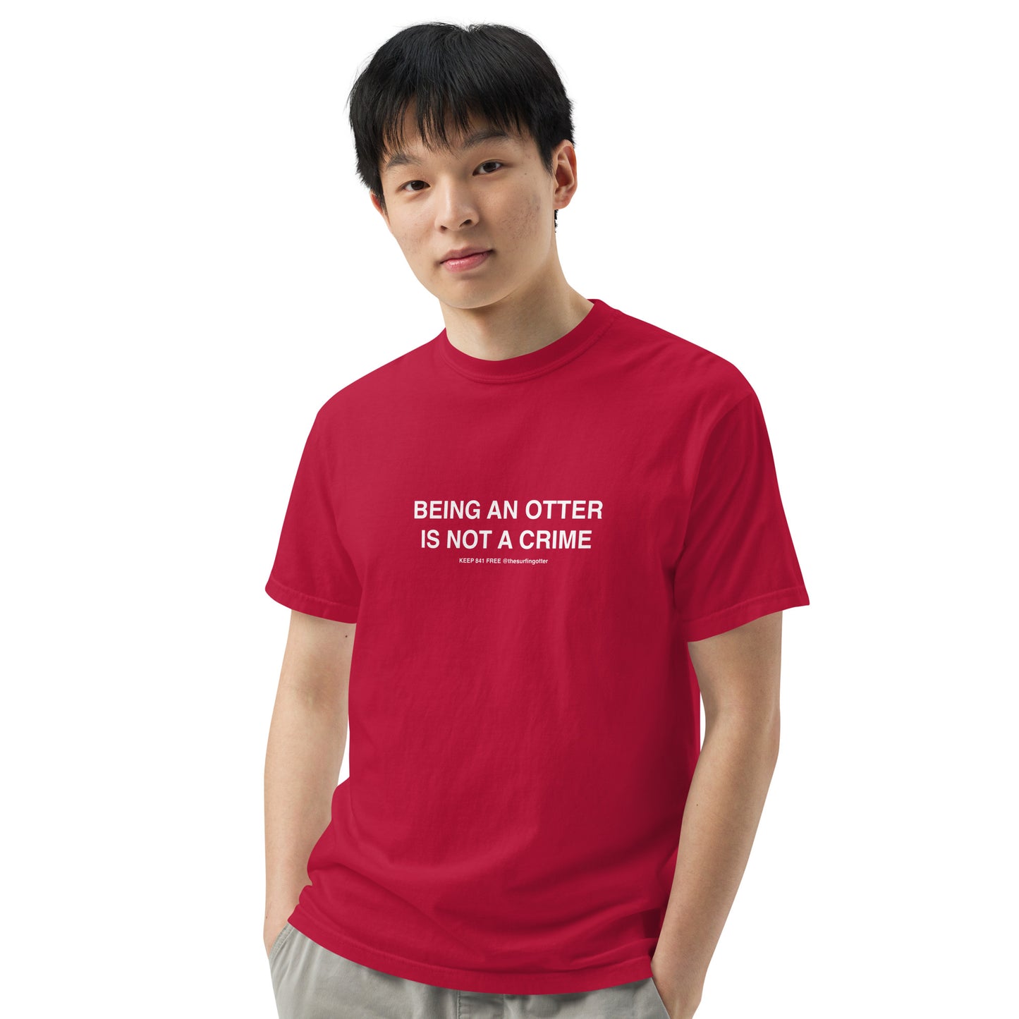 Being an Otter is Not a Crime(Otter 841) garment-dyed heavyweight t-shirt