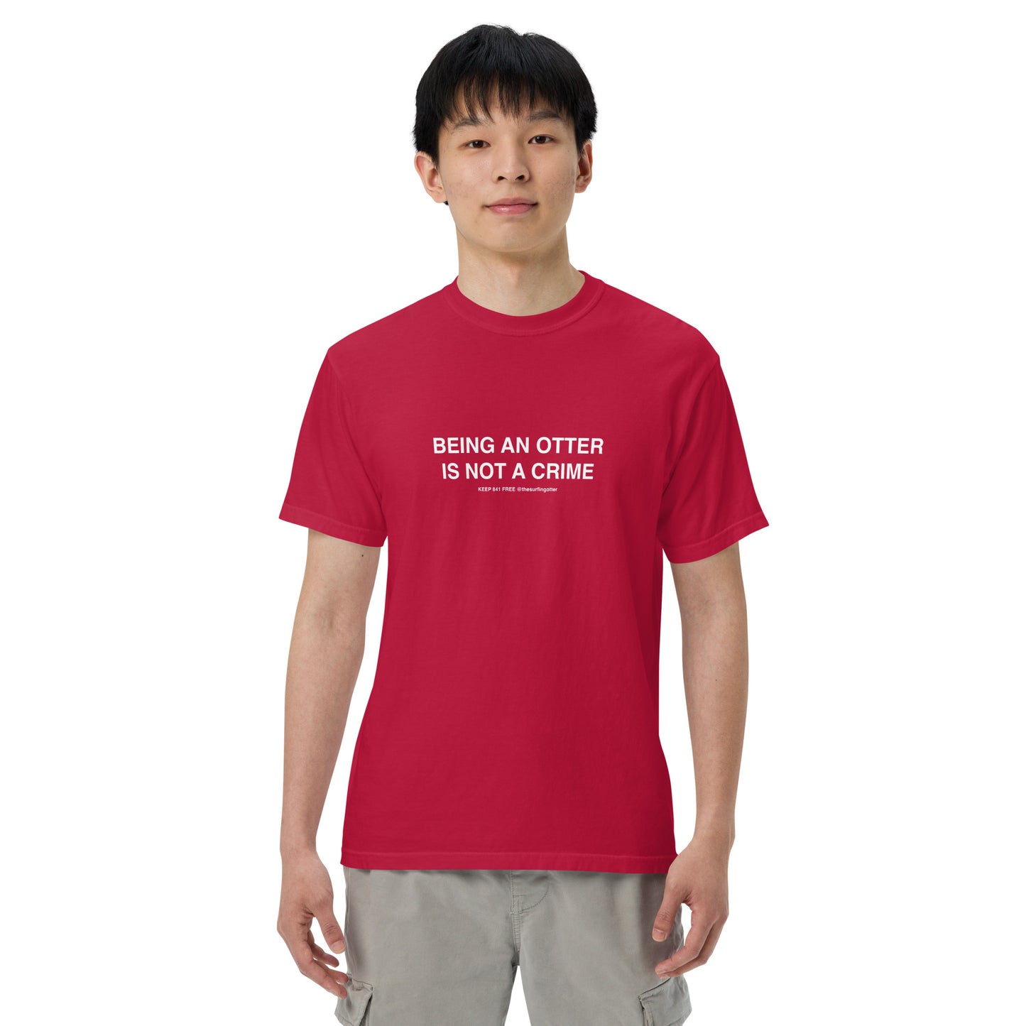 Being an Otter is Not a Crime(Otter 841) garment-dyed heavyweight t-shirt