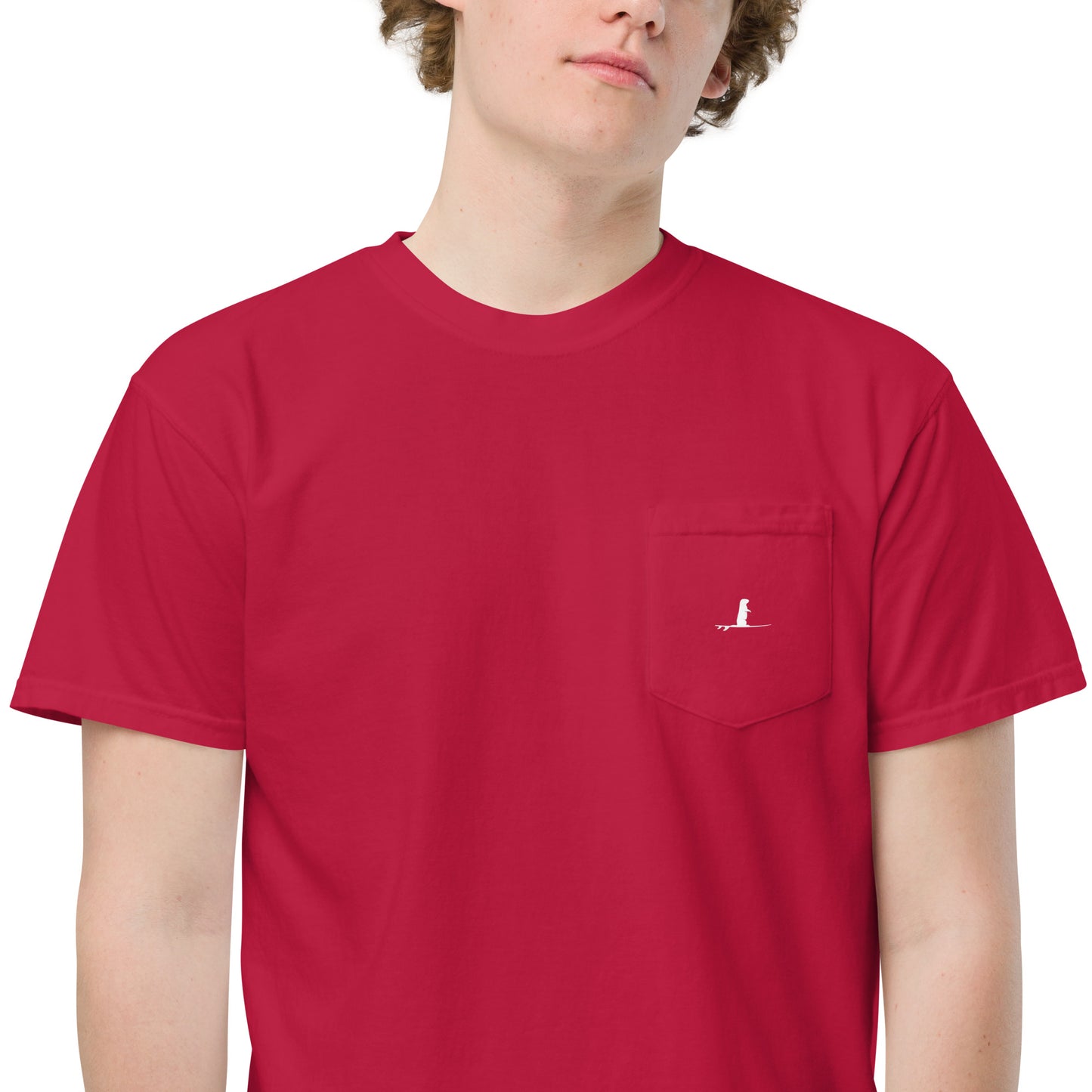 OTTER 841 Logo Unisex garment-dyed pocket t-shirt